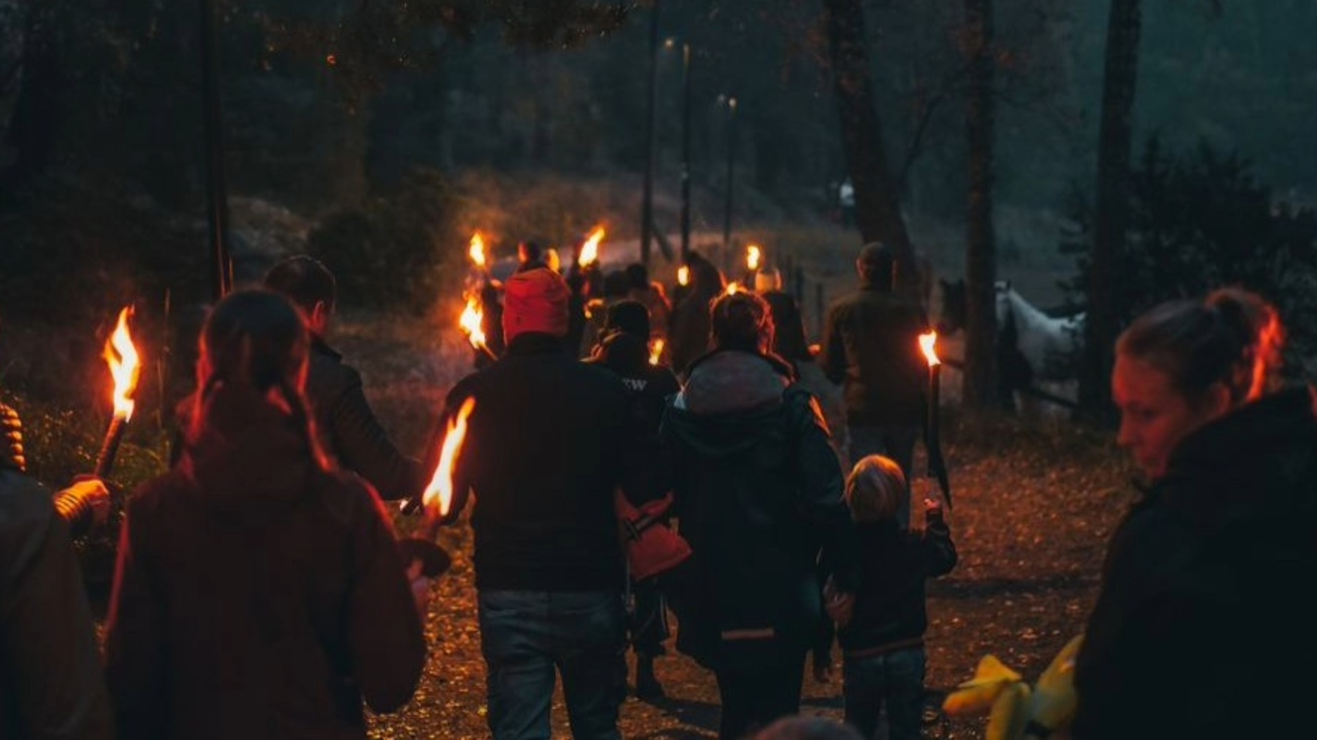 Lagerfeuer beim LandRastHaus Maria Bild