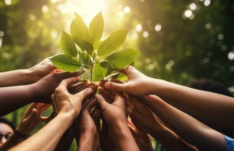 Team-Erlebnisse in der Natur