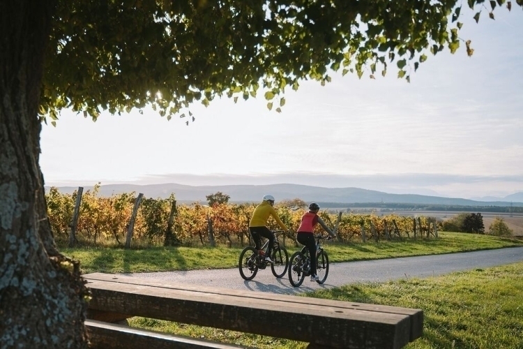 E-Bike-Tour durch die Hügel des Südburgenlands mit Start am LandRastHaus Maria Bild