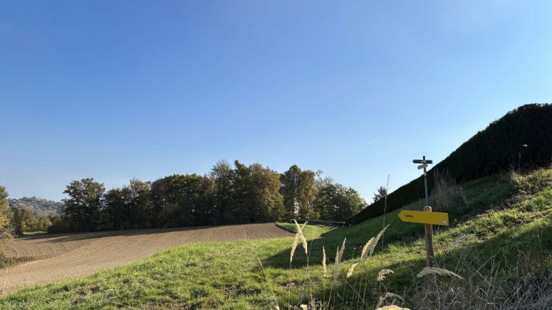 Engelweg Maria Bild: Besinnungsstation am Wanderweg im Südburgenland