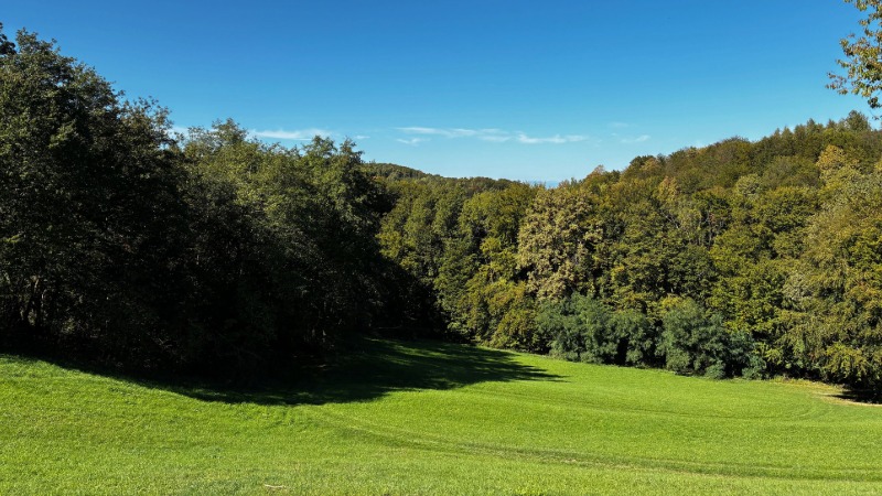 Landweg Maria Bild: Feldweg zwischen Wiesen und Waldrand bei Unterbergen im Südburgenland